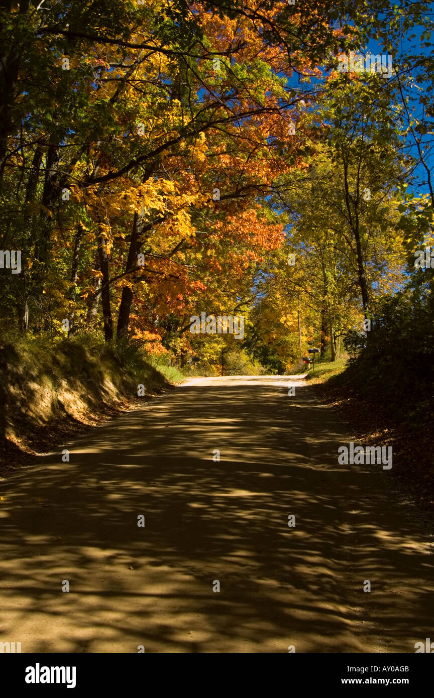 Herbst Baldachin von Farbe in der Nähe von Lansing Michigan auf einem unbebauten Schotterstraße Stockfoto