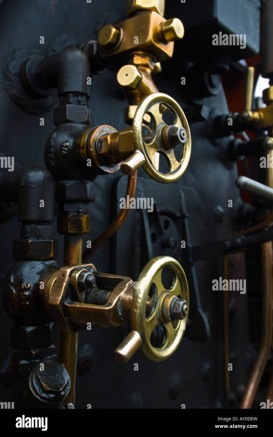 Detail der Messing-Regelventile auf eine Schmalspur-Dampflokomotive Stockfoto