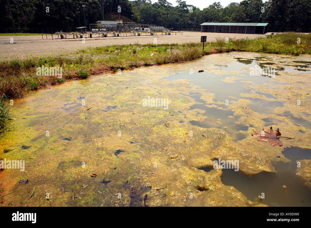 Bioremediation Teich zum Boden verseucht von Rohöl neben einer Ölquelle im Amazonas Stockfoto