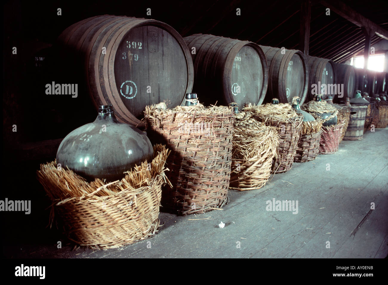 Madeira Wein-Fässern gären und Altern im Loft der Weinberg-Brauerei in Funchal Madeira portugal Stockfoto