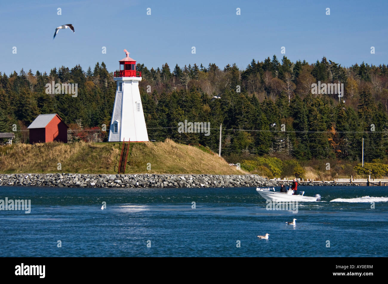 Kleines Fischerboot vorbei Muhholland Point Lighthouse auf Passamaquoddy Bay New Brunswick, Kanada Stockfoto
