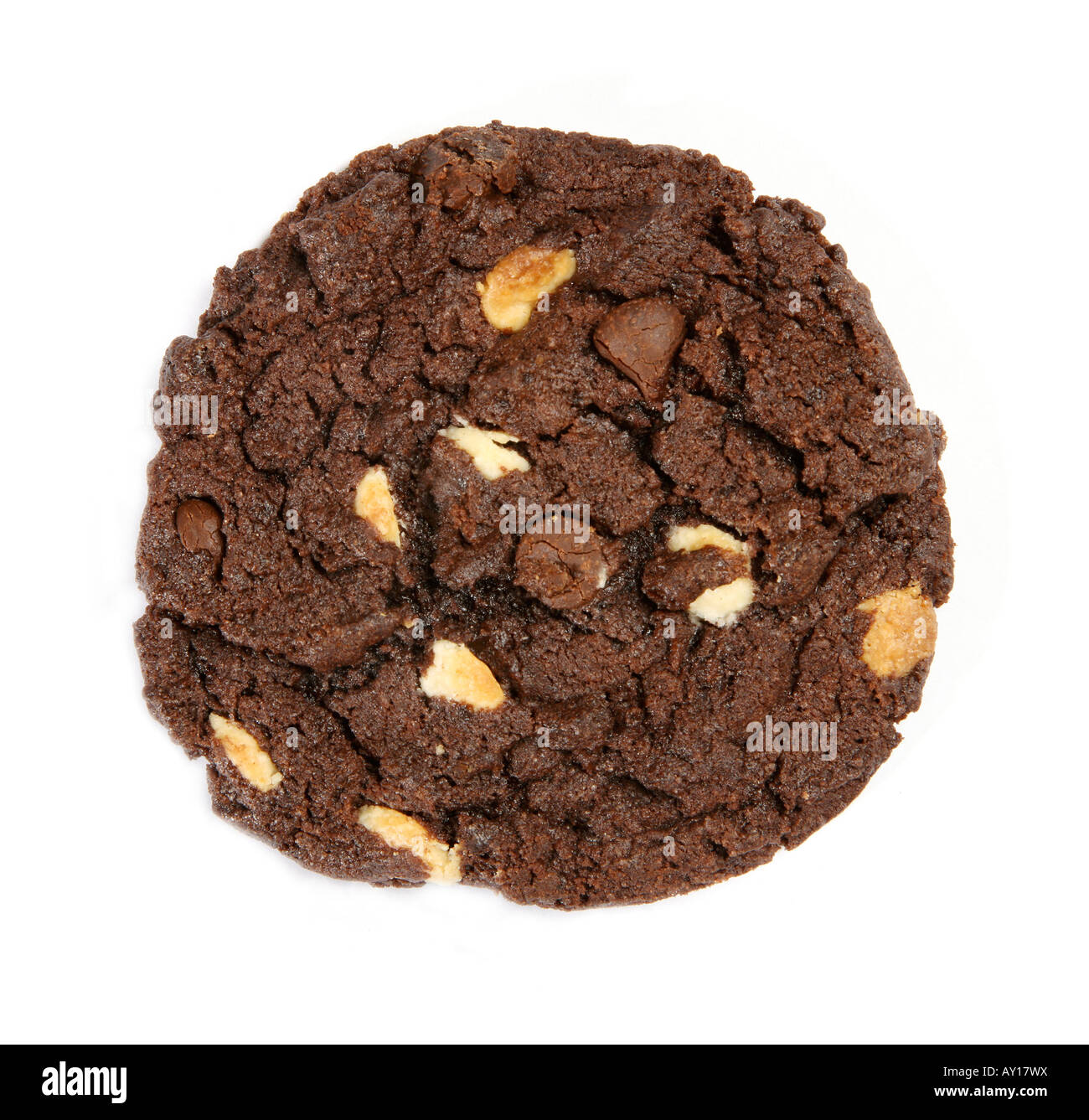 Köstliche Choclated Chips Cookie isoliert auf weißem Hintergrund Stockfoto