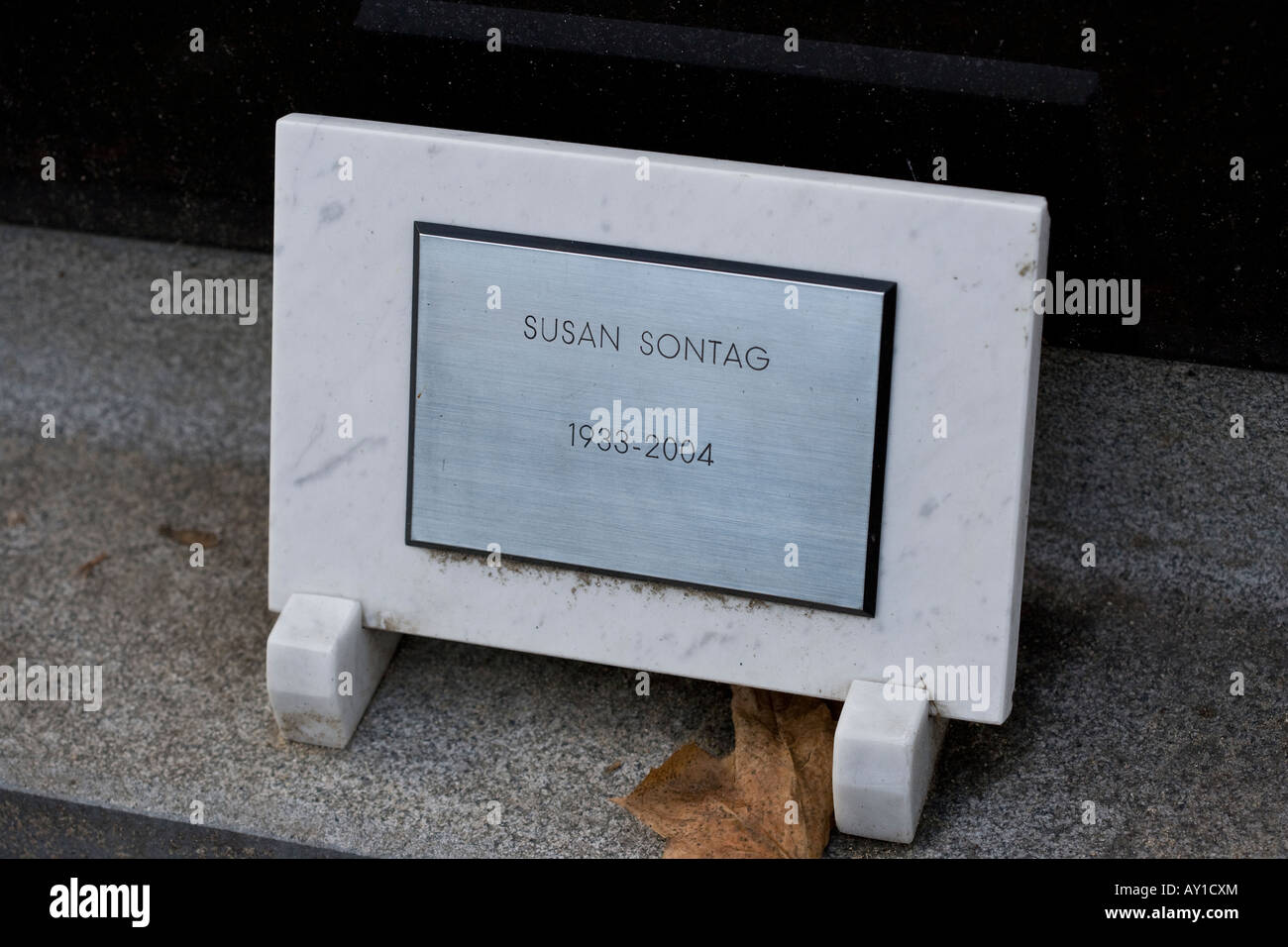 Susan Sontags Grab Friedhof Montparnasse Paris Stockfoto