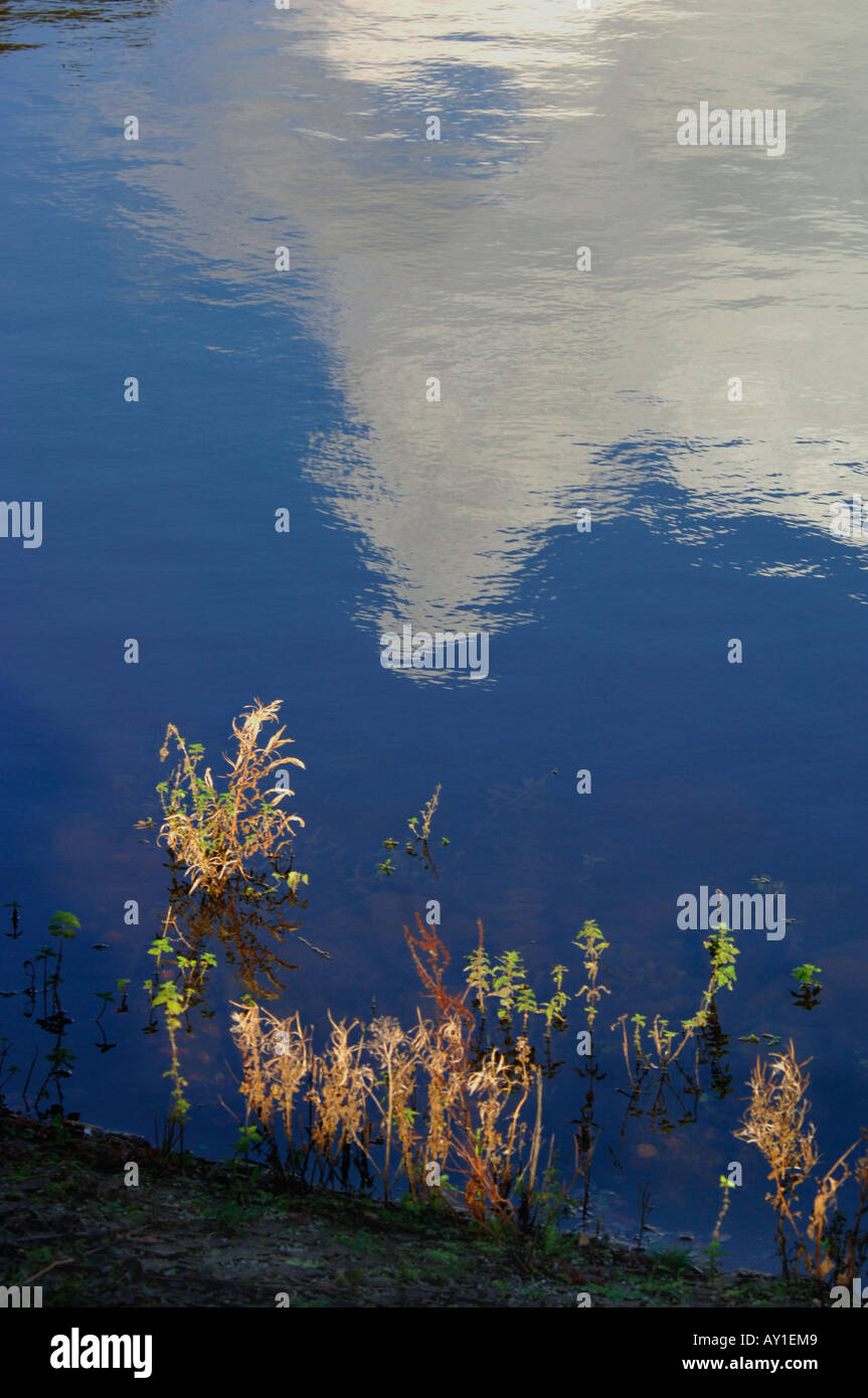 Waters Edge Stockfoto