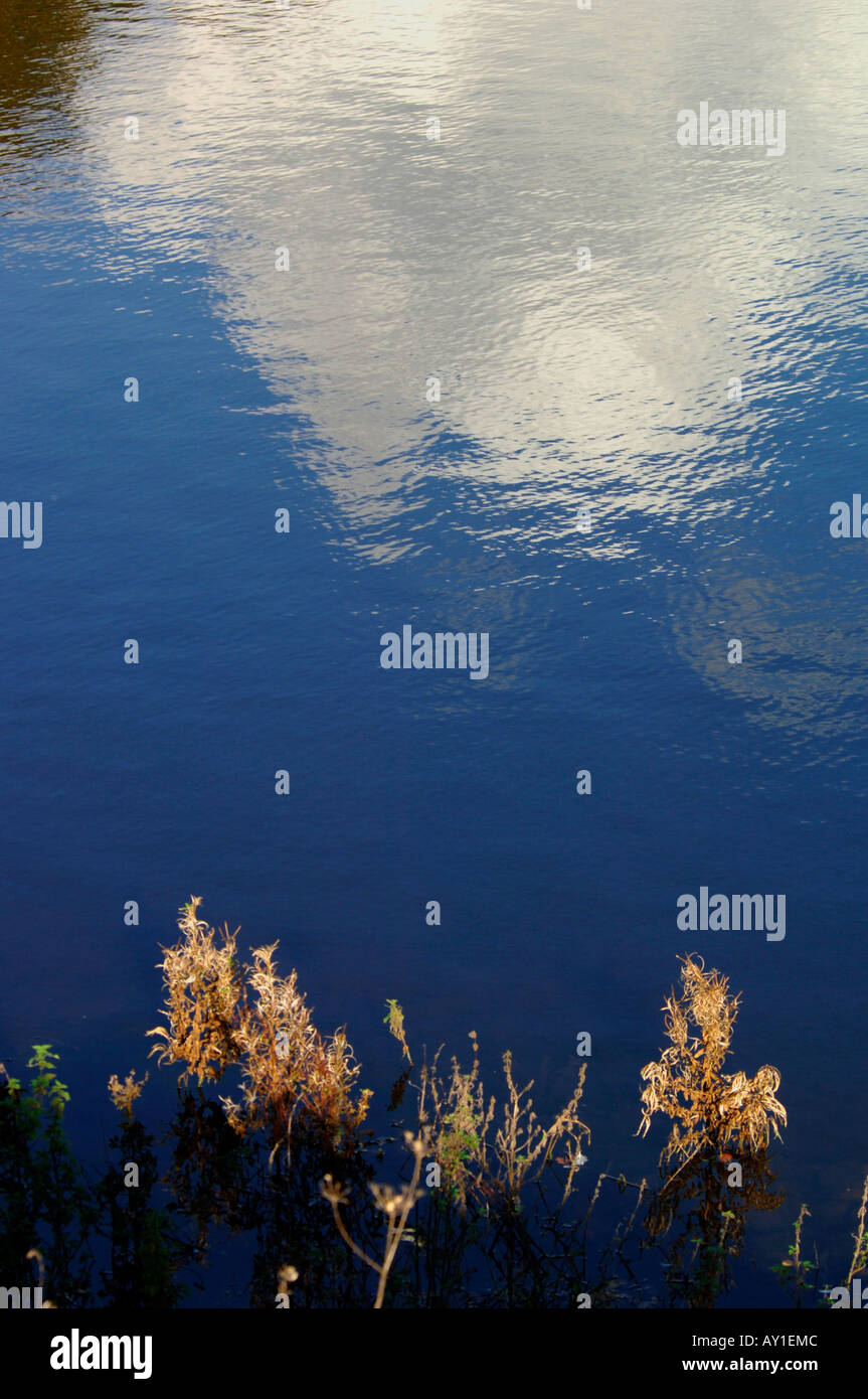 Waters Edge Stockfoto