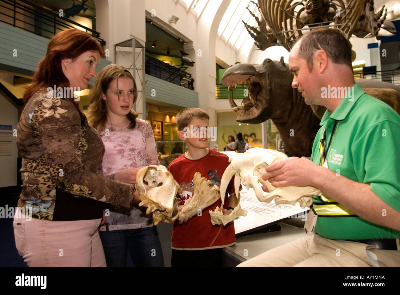 Blinder Mann im Natural History Museum, wo er als Freiwilliger, London UK arbeitet. Stockfoto
