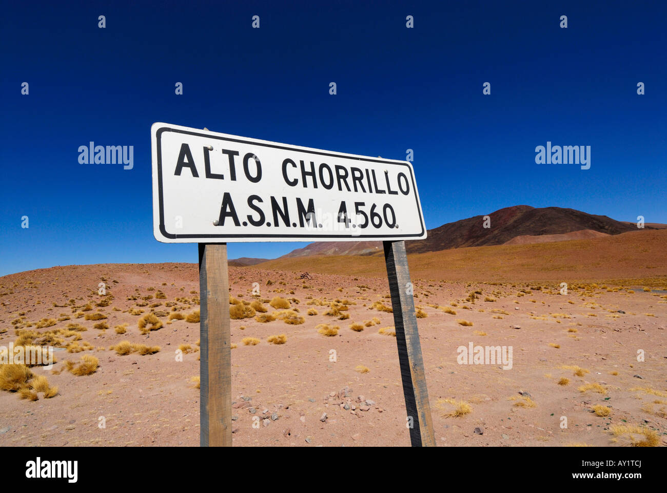 Alto Chorrillo, Puna, Provinz Salta, Argentinien, Südamerika Stockfoto