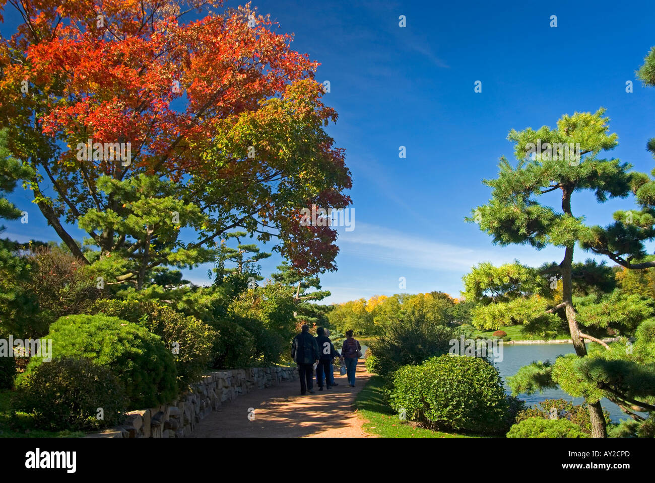 Japanischer Garten-Spaziergang Stockfoto