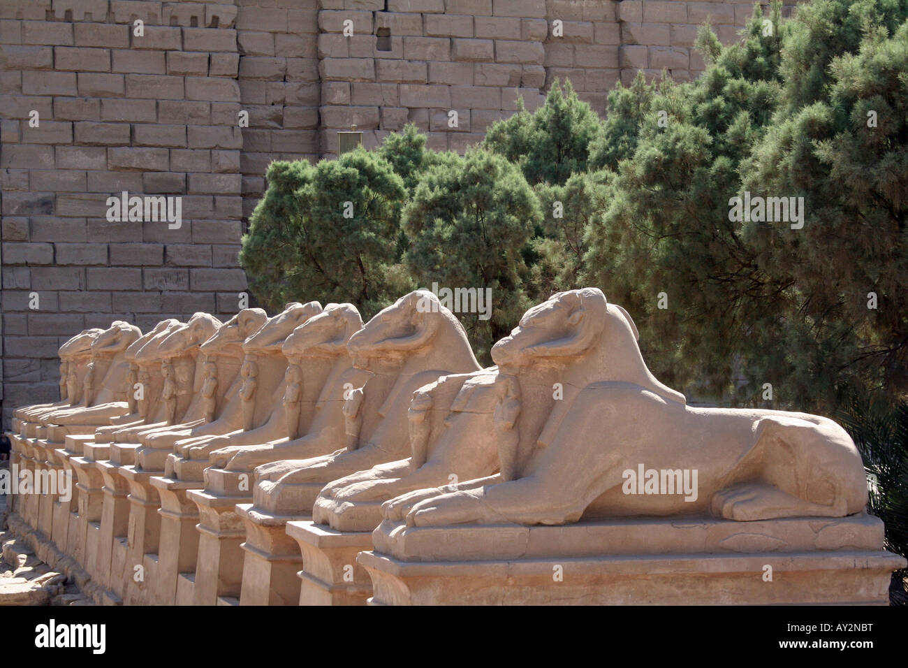 Karnak-Tempel - Reihe der Sphinx - Ancient Egyptian Monument [el-Karnak, in der Nähe von Luxor, Ägypten, arabische Staaten, Afrika].                 . Stockfoto