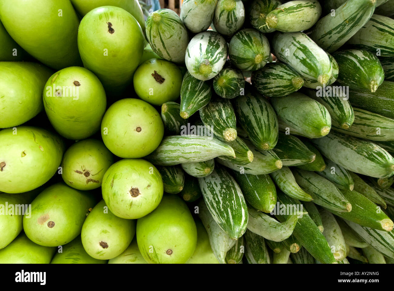 Stapel von Grüner Auberginen und Zucchini Stockfoto