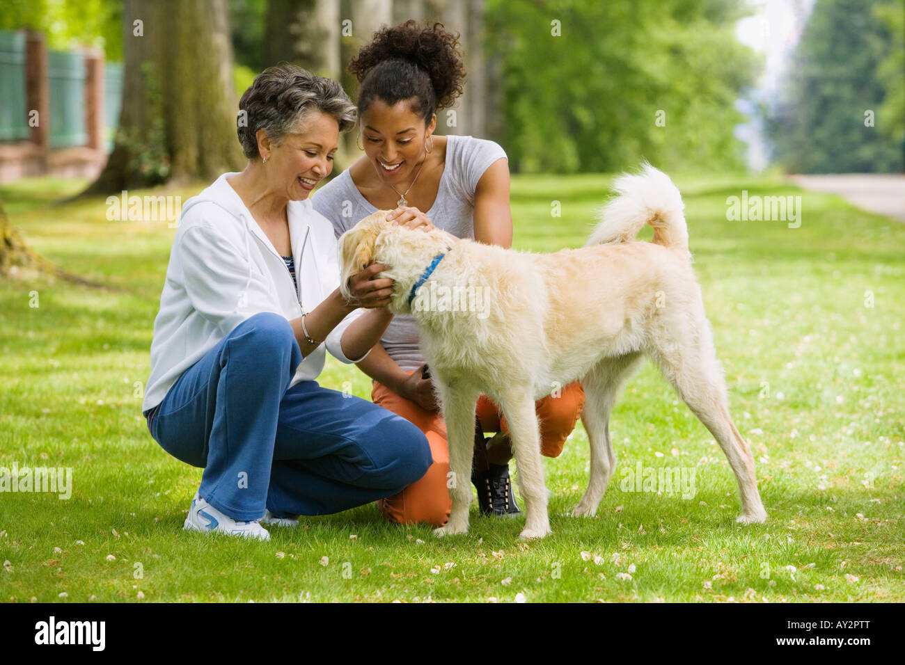 African American Mutter und Erwachsene Tochter Petting Hund Stockfoto