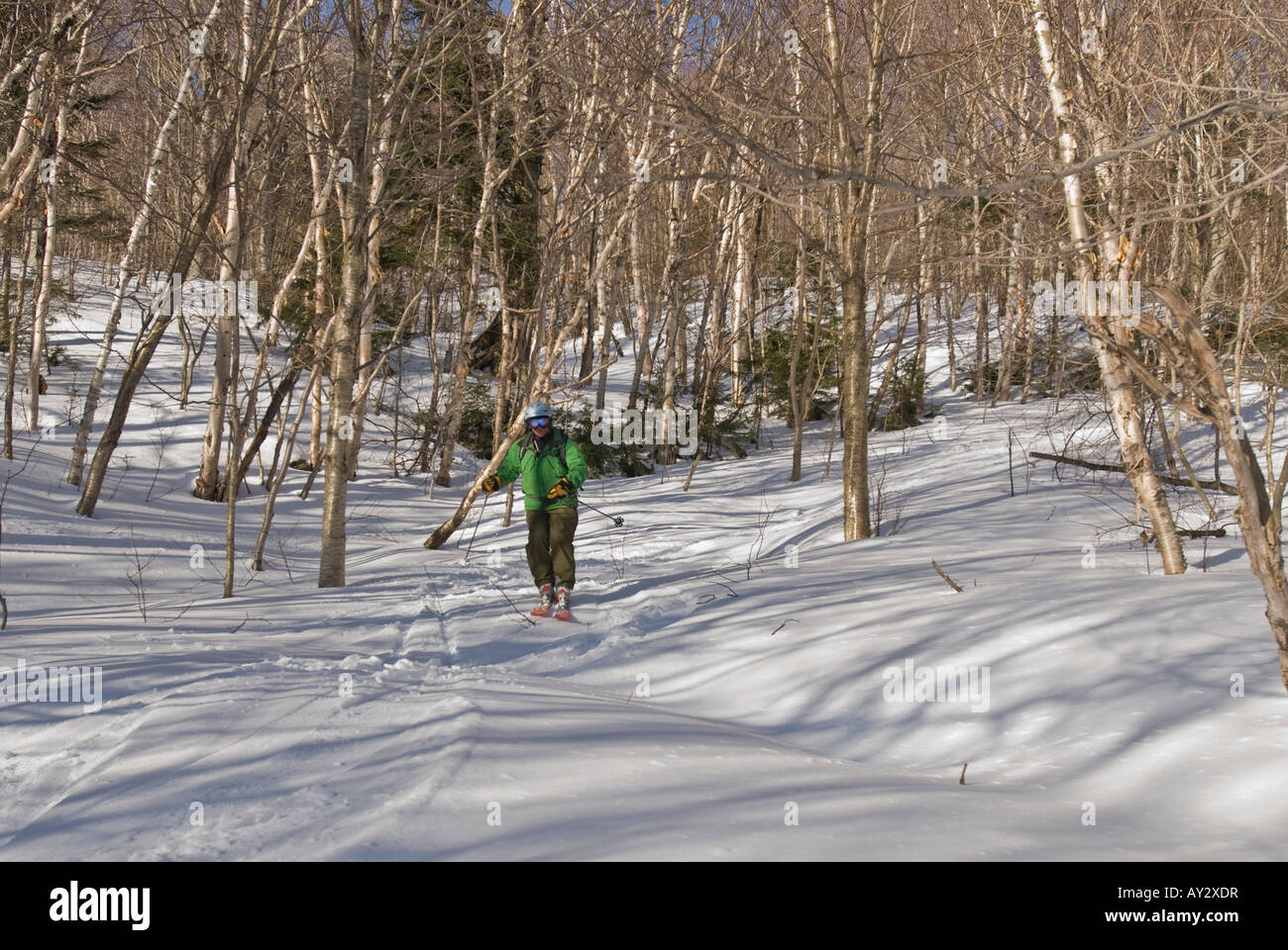 Ein Mann auf Alpin-Ski Skifahren durch die Bäume während einer Backcountry-Ski-Ausflug an einem sonnigen späten Winter s Tag in Jerusalem Vermont Stockfoto