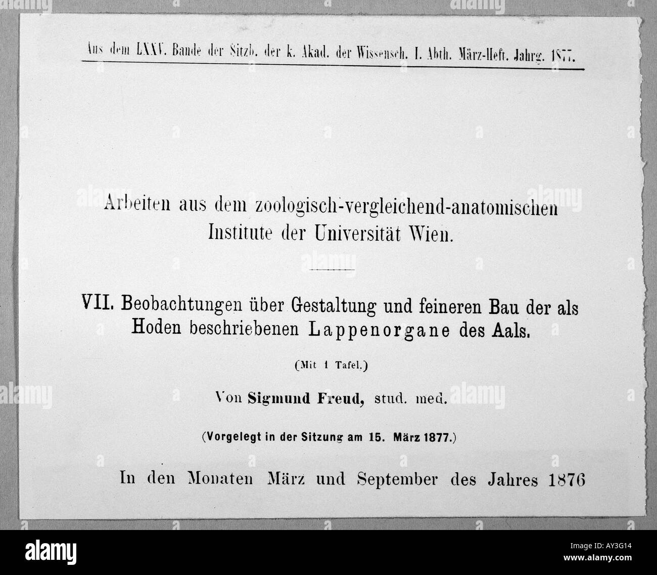 Freud 1. Papier 87 Stockfoto