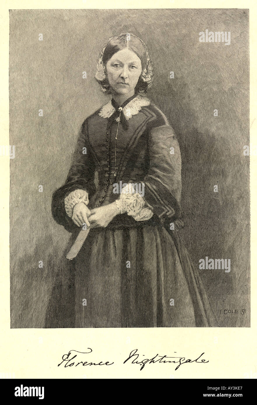 Nachtigall Cole Jahrhundert Stockfoto