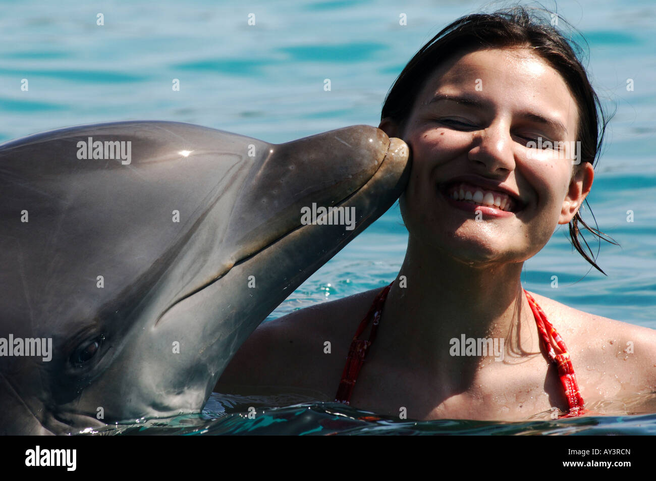 Niederländische Antillen Curacao ist ein Tourist von einem Delphin Dolphin Academy geküsst Stockfoto