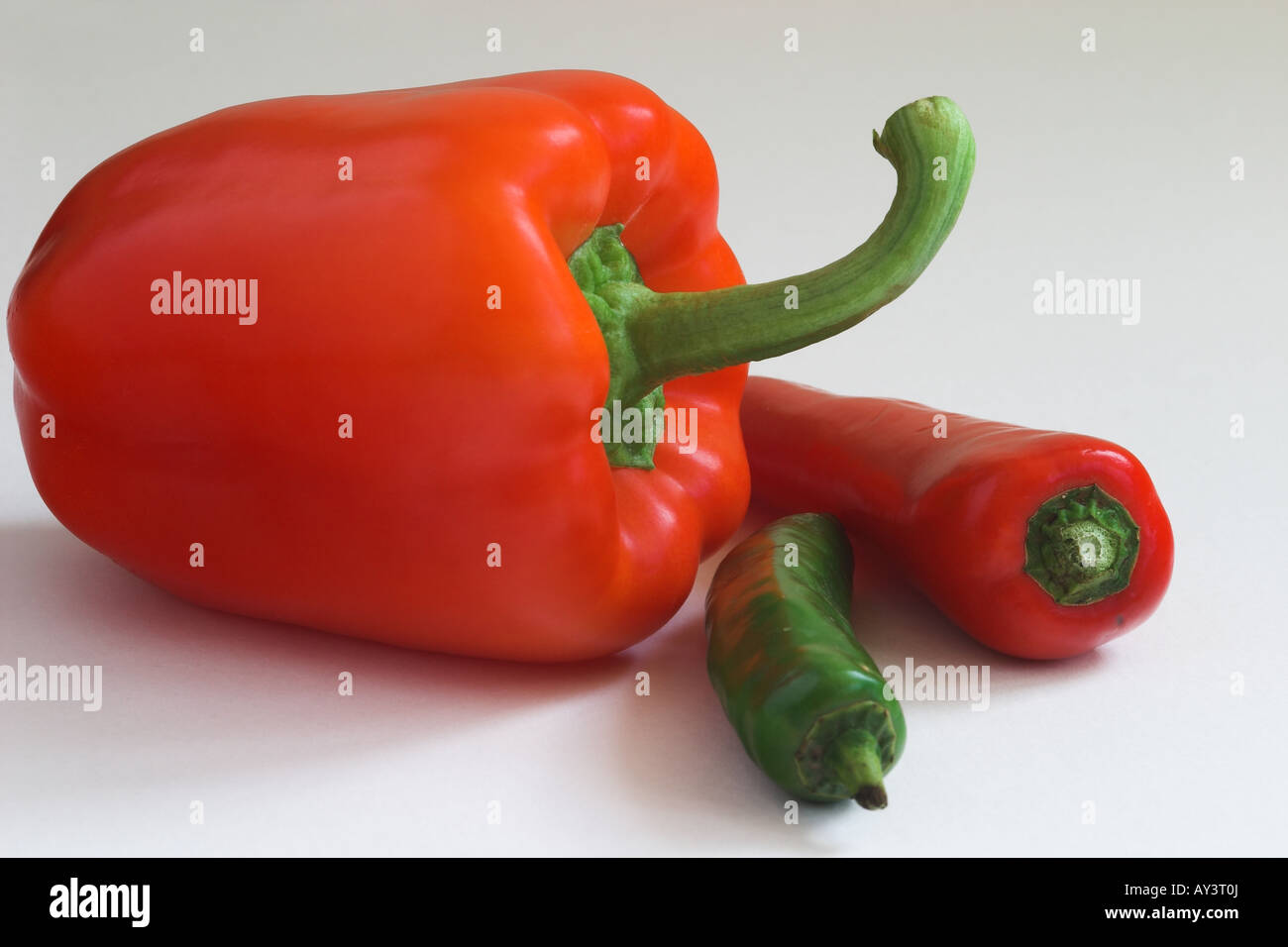 Nahaufnahme von rohem Paprika mit roten und grünen Chilis vor weißem Hintergrund Stockfoto