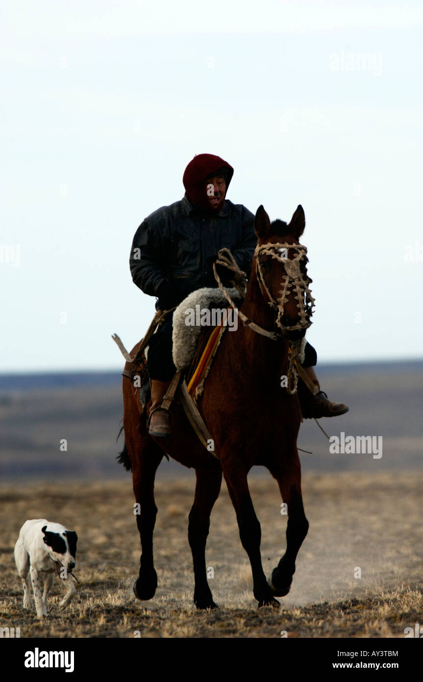 Argentinien Patagonien Puerto Deseado Gaucho patrouillieren in der Pampa auf dem Pferderücken Stockfoto