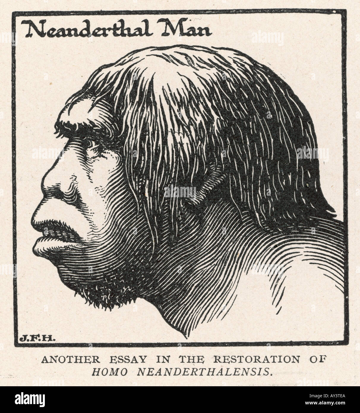 Neandertaler-Profil Stockfoto