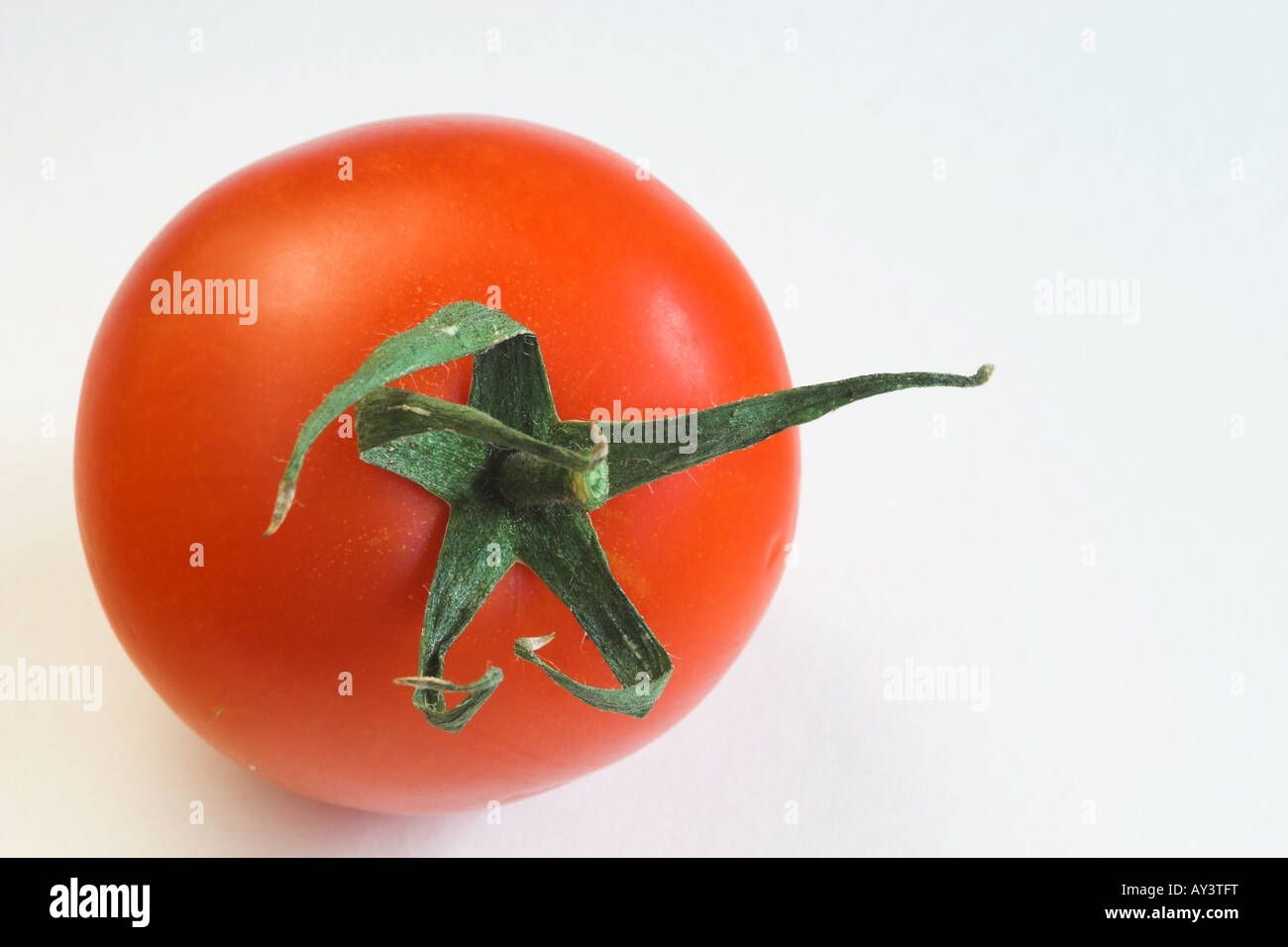Nahaufnahme einer einzelnen roten Tomate mit grünem Stamm, isoliert vor weißem Hintergrund Stockfoto