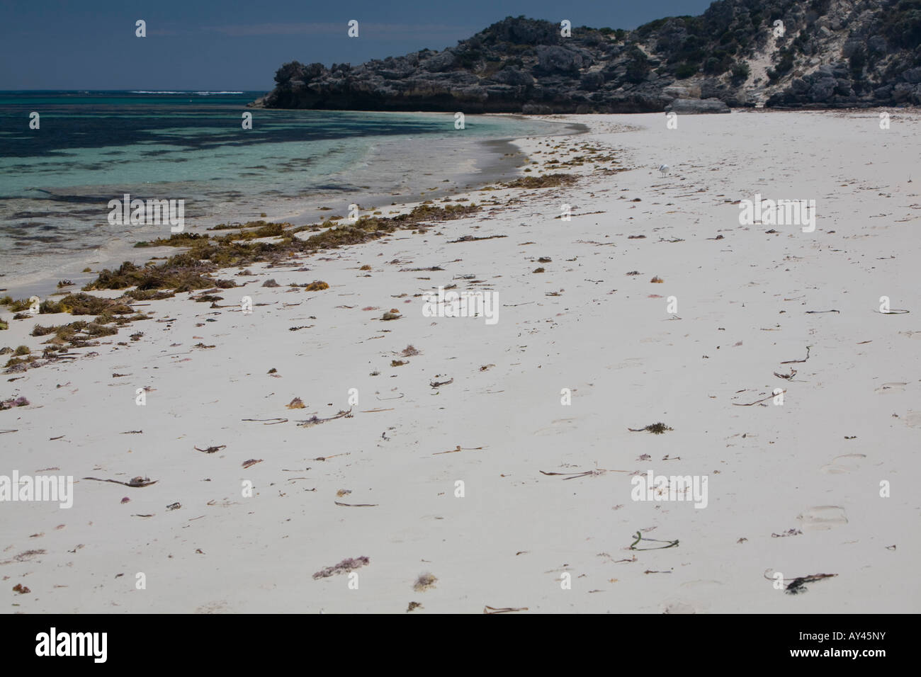 Strand von krassen Bay auf Rottnest Island, western Australia, australia Stockfoto
