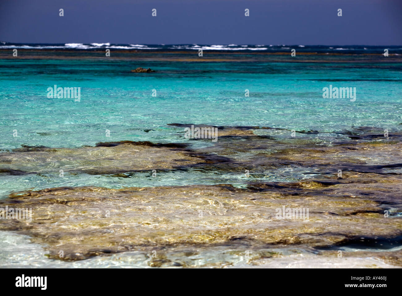Lachs Bucht Rottnest Island, Australien Stockfoto