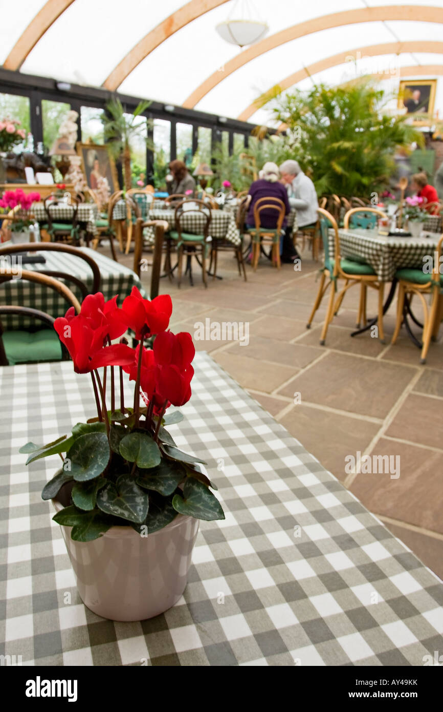 Englischer Garten-Café Interieur Stockfoto