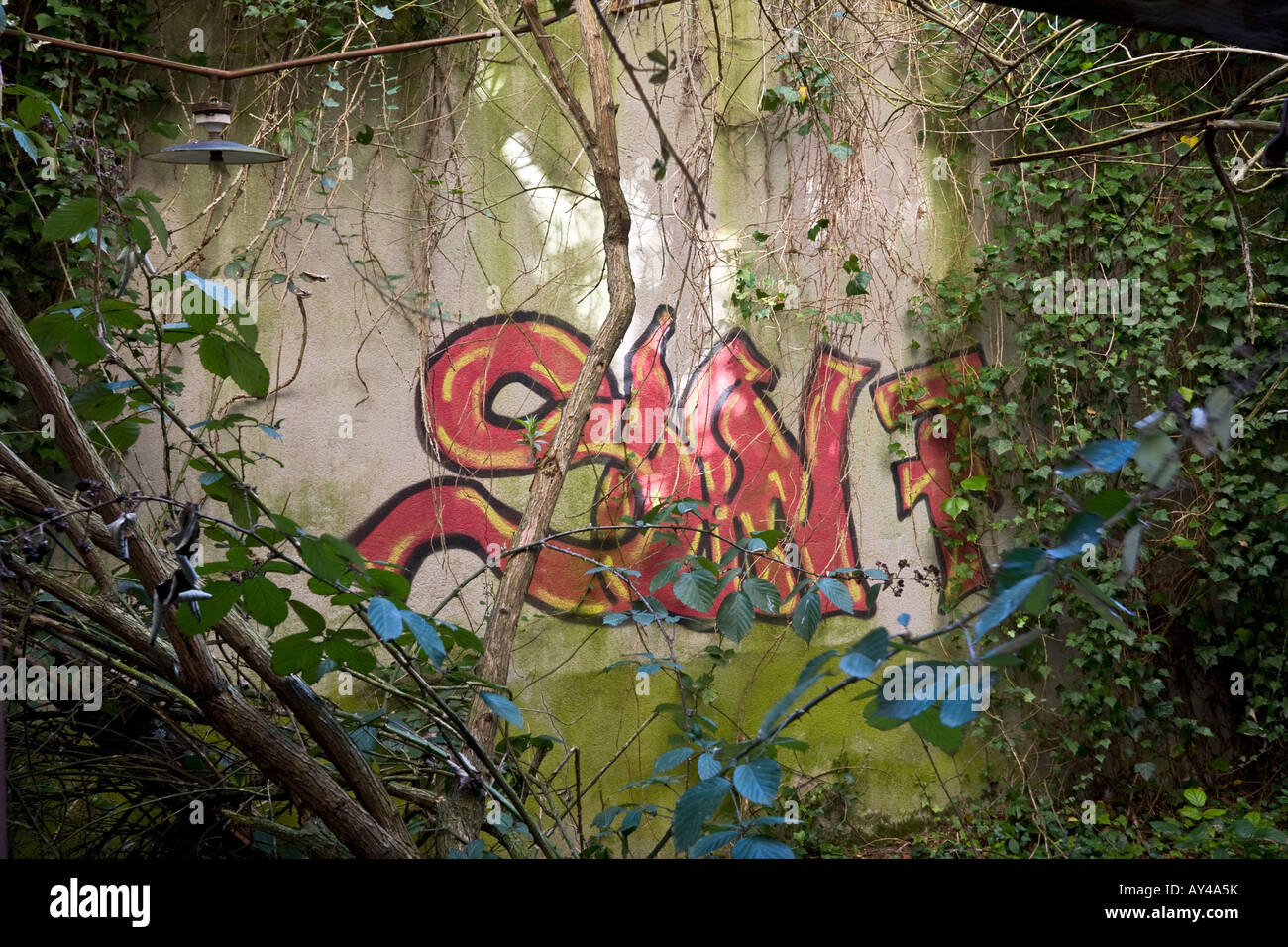 Graffiti in einer Brownfield Site Fabrik bewachsen. Graffiti Recouverts de Végétation Dans Une Usine Désaffectée. Stockfoto
