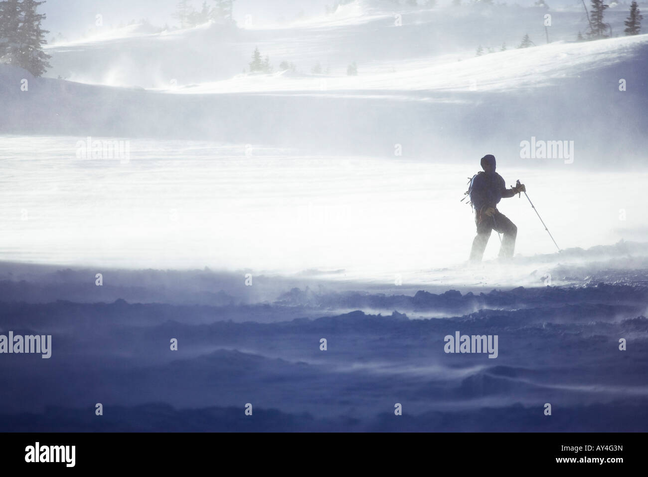 Backcountry Skifahrer in einem Sturm Stockfoto