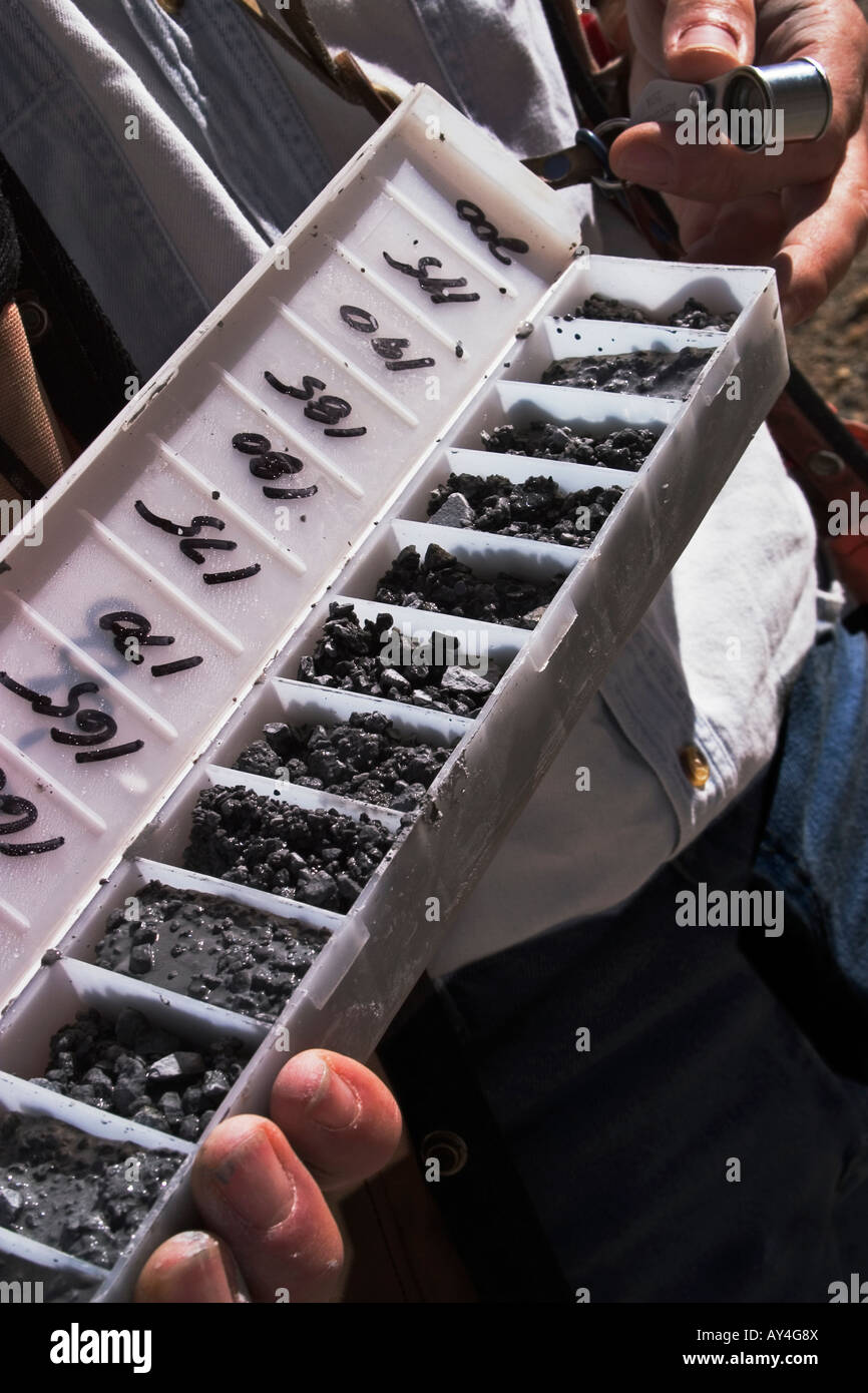 Nahaufnahme von Spänen aus Exploration Bohren Core auf Oberfläche Goldmine, Nevada, USA Stockfoto