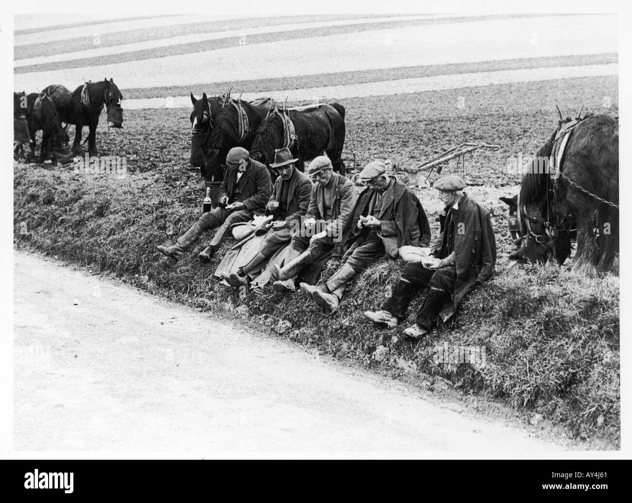 Ploughmans Lunch Stockfoto