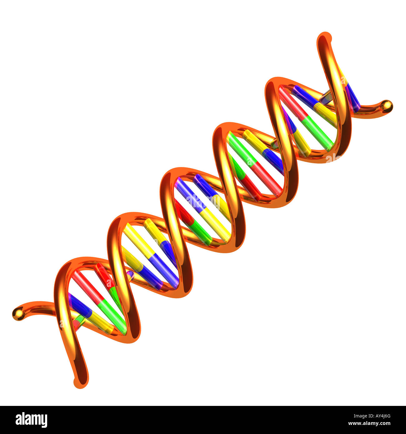DNA-Molekül Stockfoto