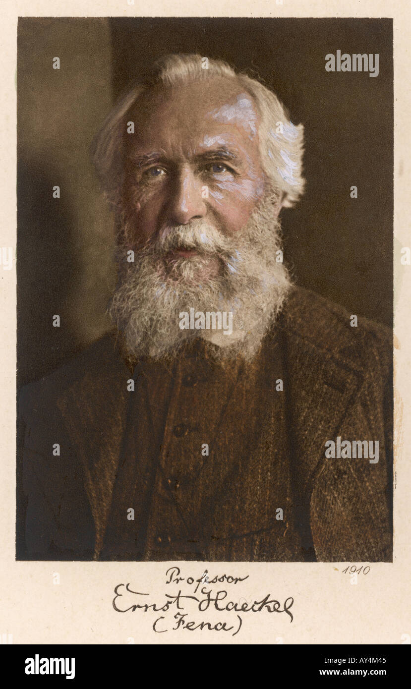 Ernst Haeckel Alter 75 Stockfoto