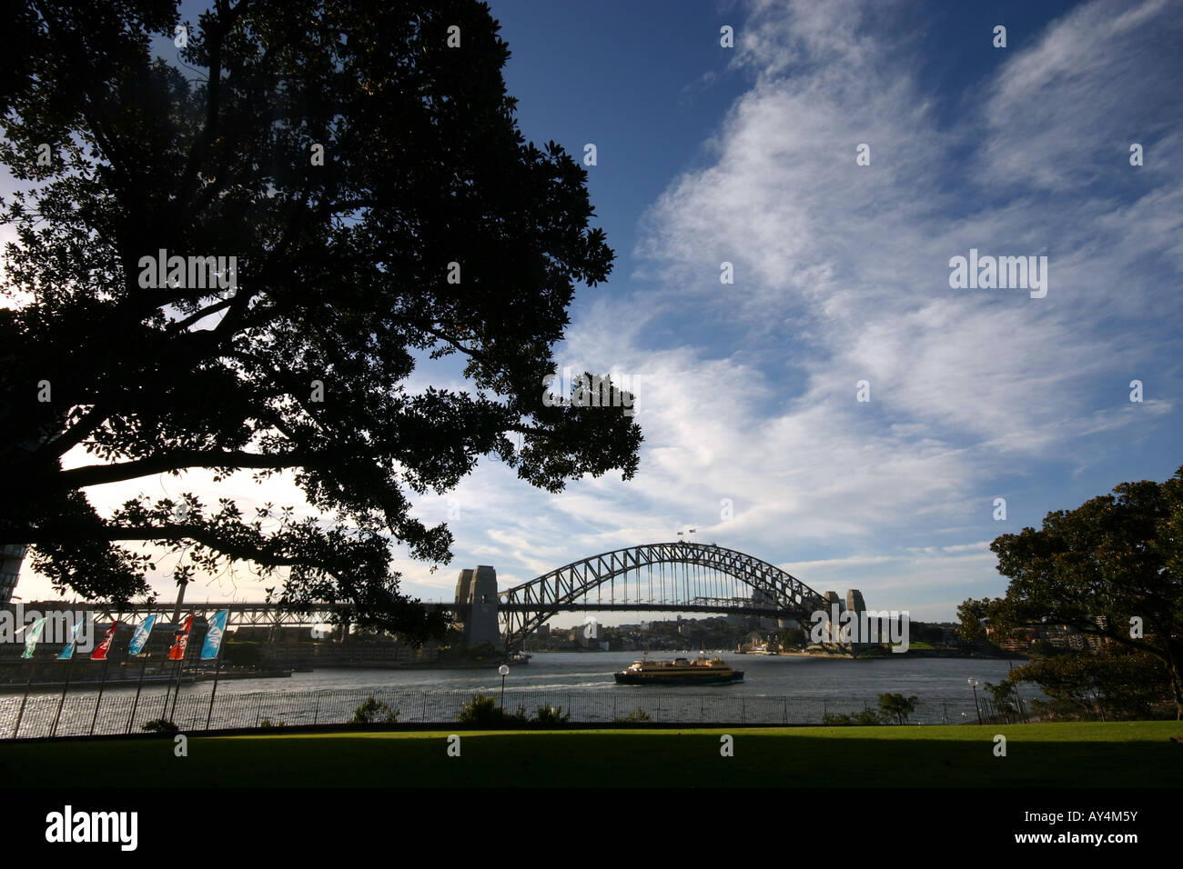 Blick auf Sydney Opera House und Brücke aus der Domäne/Royal Botanic Gardens / Frau Nacquarie Stuhl Stockfoto