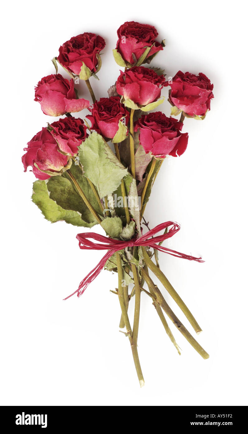 Handvoll getrocknete rote Rosen Stockfoto