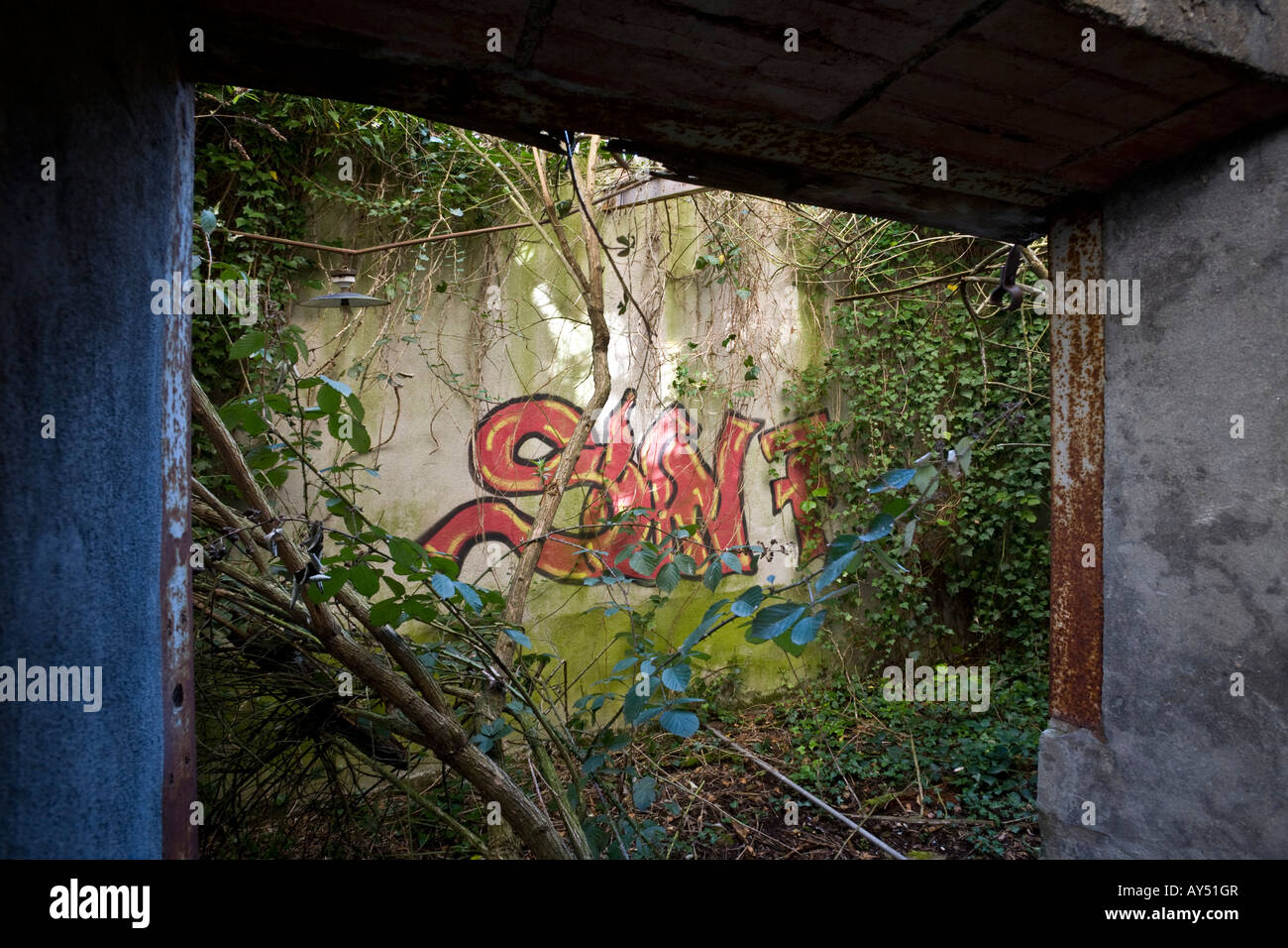 Graffiti in einer Brownfield Site Fabrik bewachsen. Graffiti Recouverts de Végétation Dans Une Usine Désaffectée. Stockfoto
