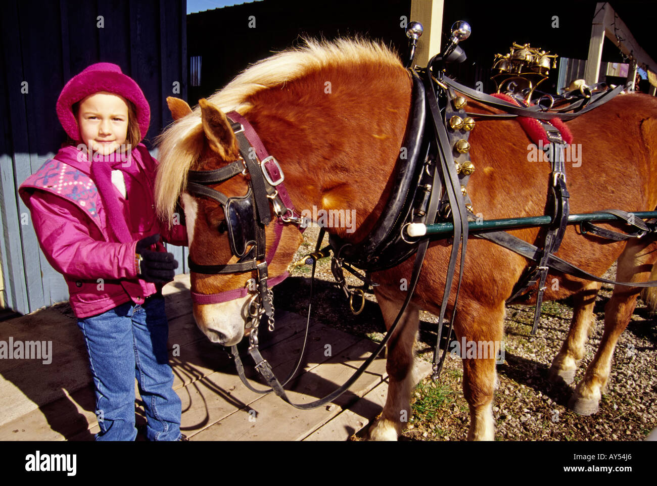 Herr 716 Miranda Romero und Pony Freund warten auf den Start der Cowboy Christmas Parade in Capitan, New Mexico. Stockfoto