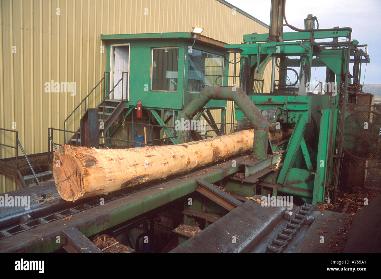 Sägewerk Log Entrindungsmaschinen Stockfoto