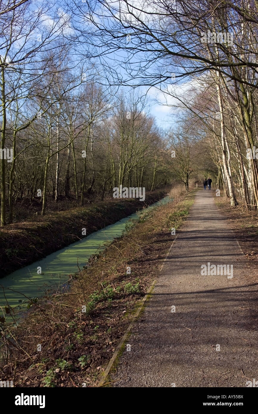 Weg neben Entwässerung Deich @ Blackcarr Holz Potteric Carr Nature Reserve Doncaster Stockfoto