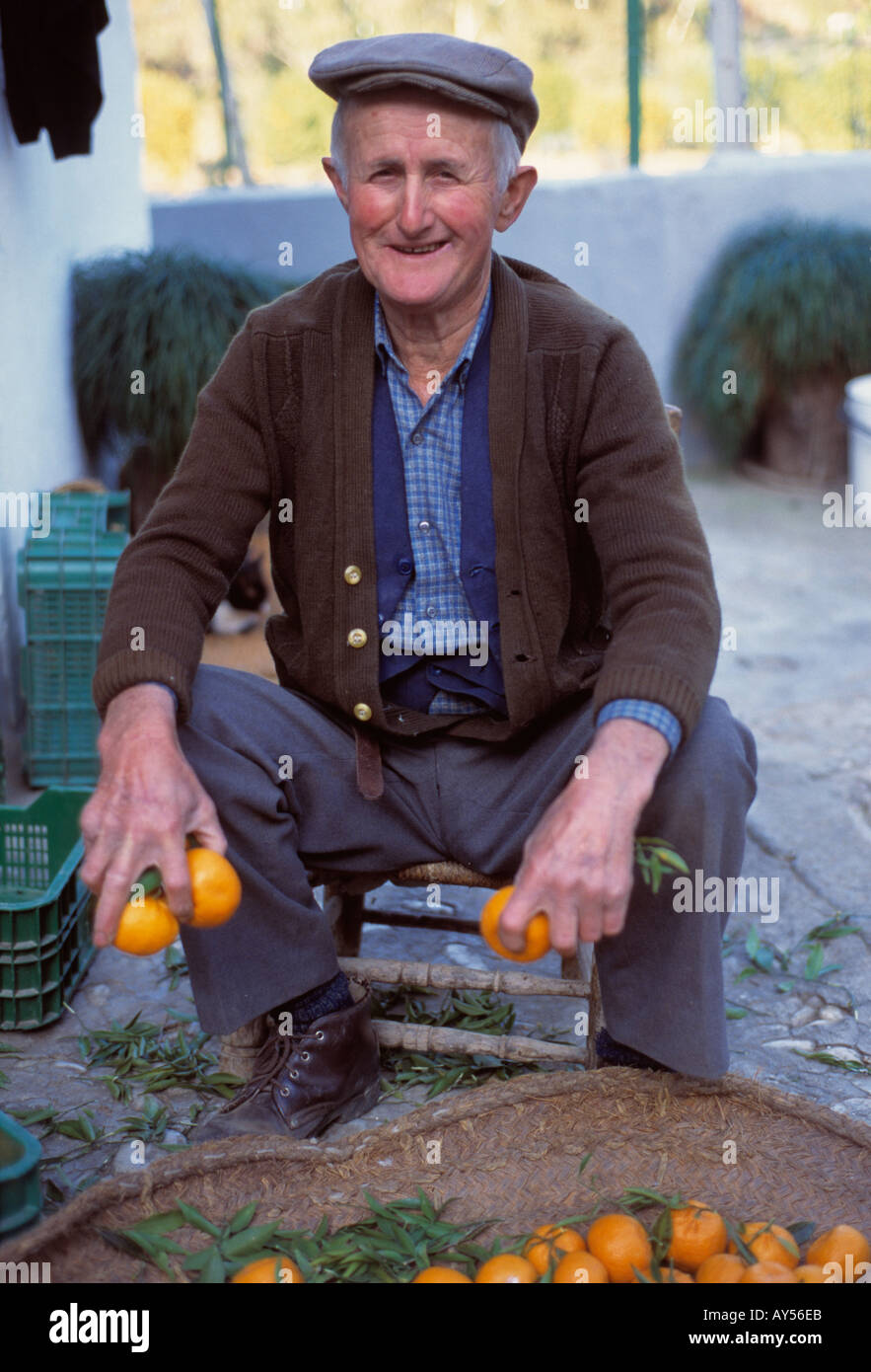 Andalusien, alten Mann sitzt auf typische Hand geschnitzt Stuhl, lächelnd, während Orangen Auswahl aus seiner Ernte. Stockfoto