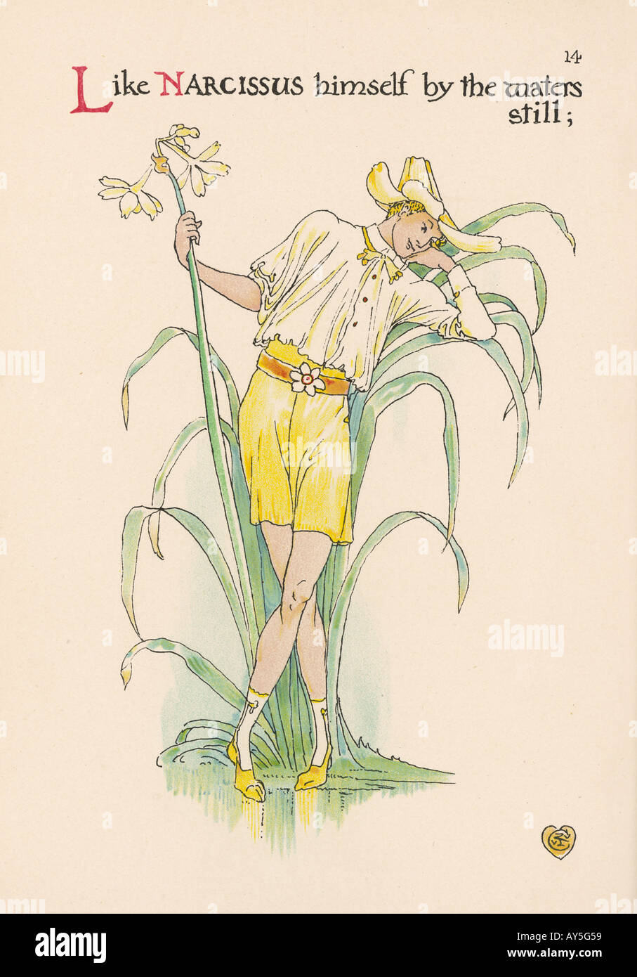Pflanzen Narcissus Stockfoto