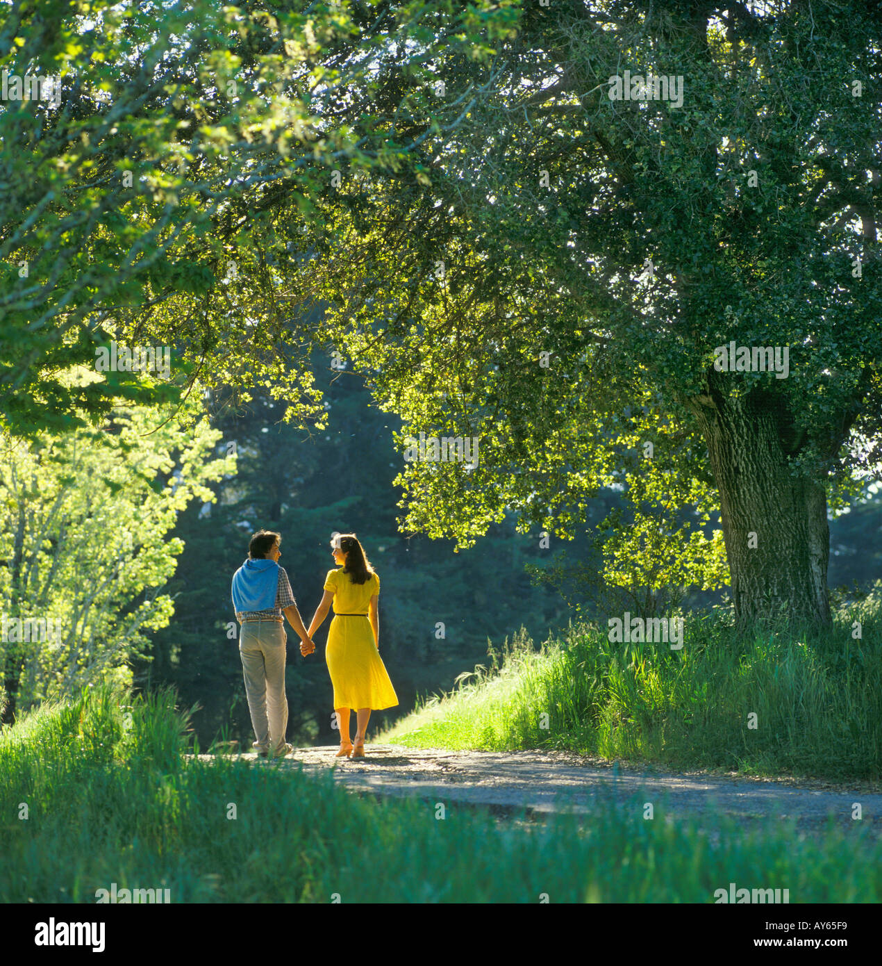 romantisch zu zweit zu Fuß durch Wald Stockfoto