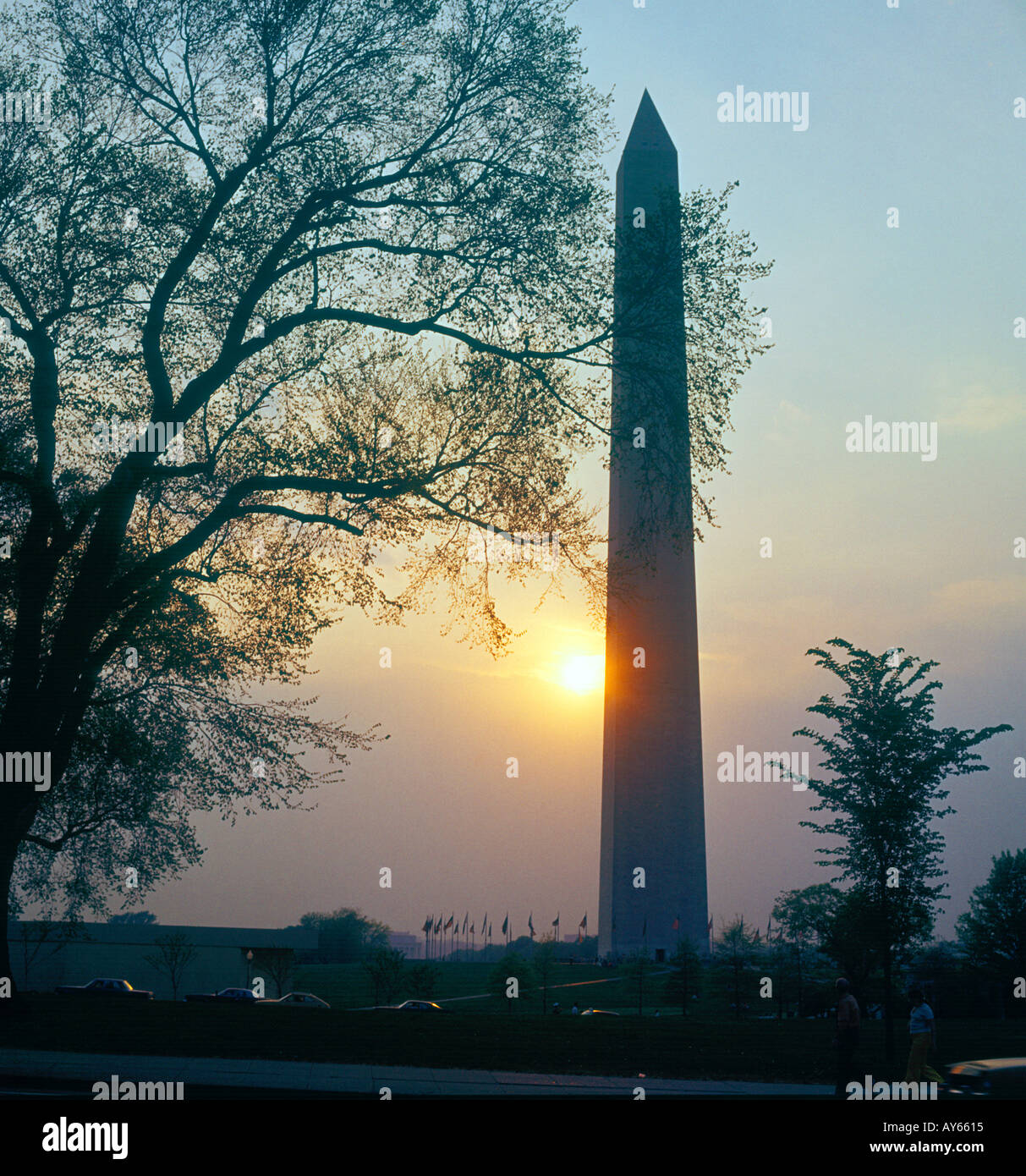 Washington Monument Washington DC USA Stockfoto