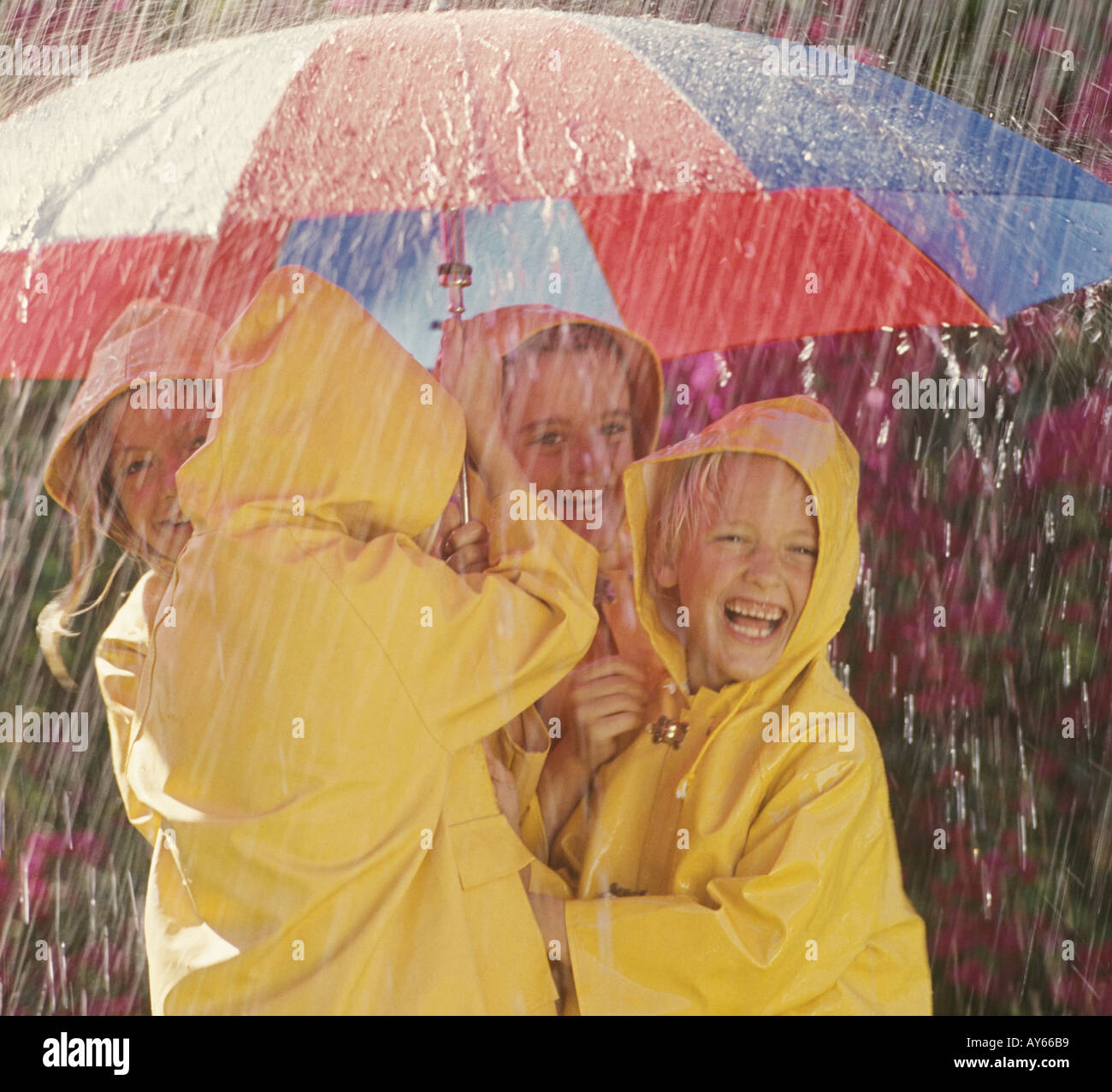 jungen und Mädchen spielen im Regen mit Regenschirm Stockfoto