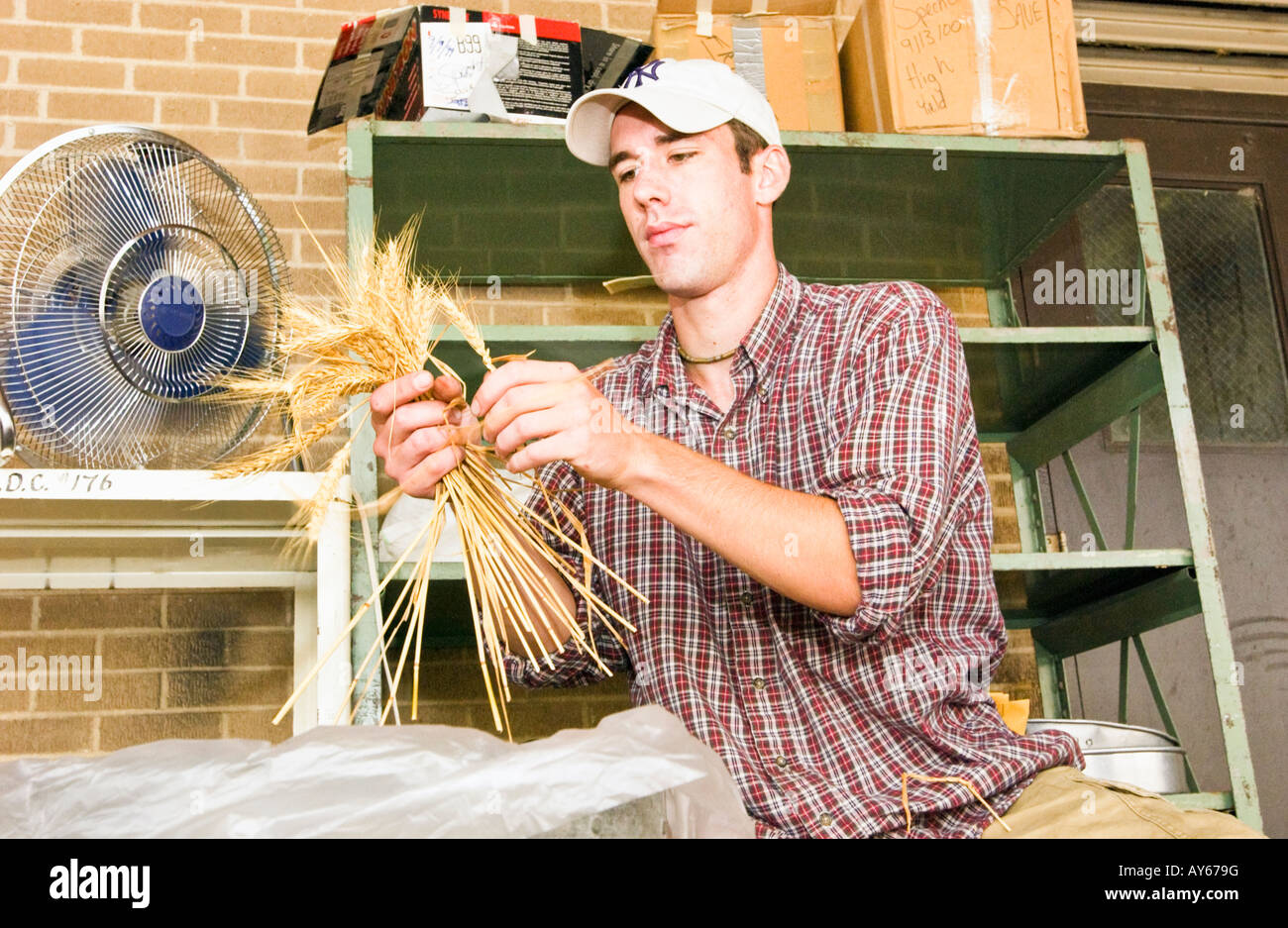 Vorbereitung auf die Spreu vom Weizen trennen Stockfotografie - Alamy