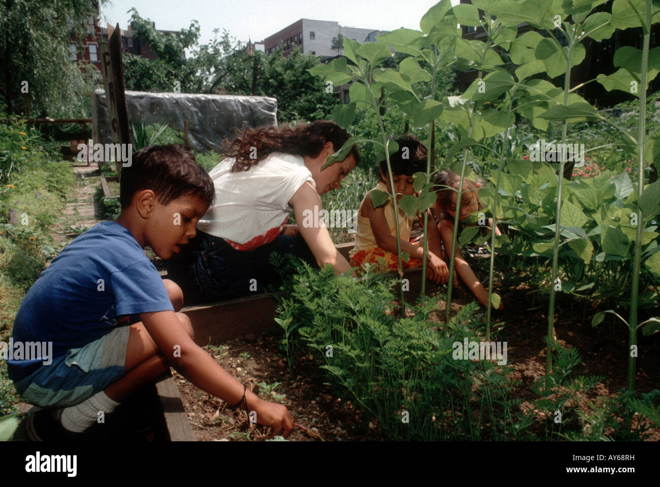 Die Schüler nehmen in der Lower East Side Kinder s Gardening Projekt Stockfoto