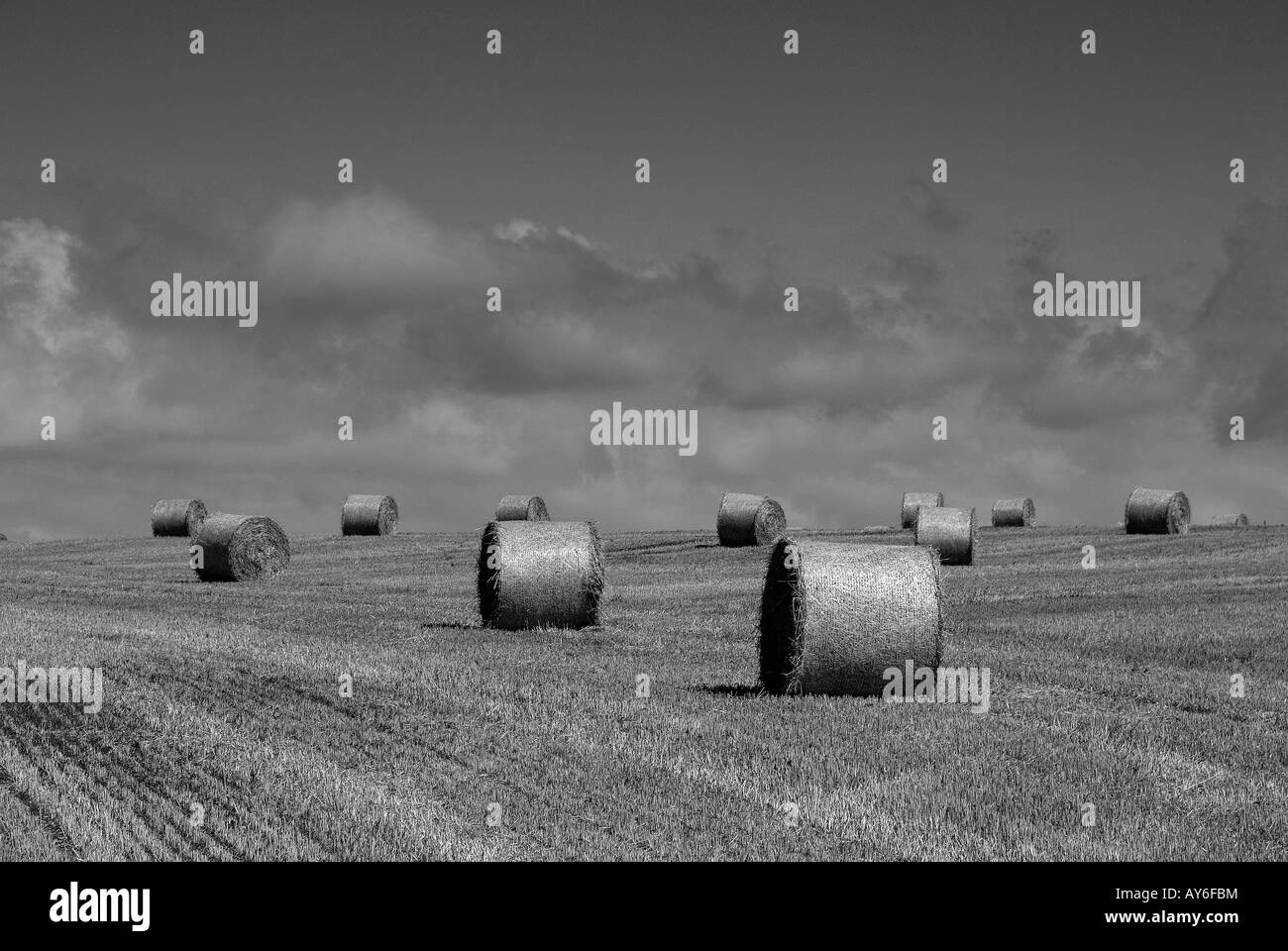 Süden Gower, Heu Bails auf ein Gebiet in Süd-Wales. Sommer Zeit. Stockfoto