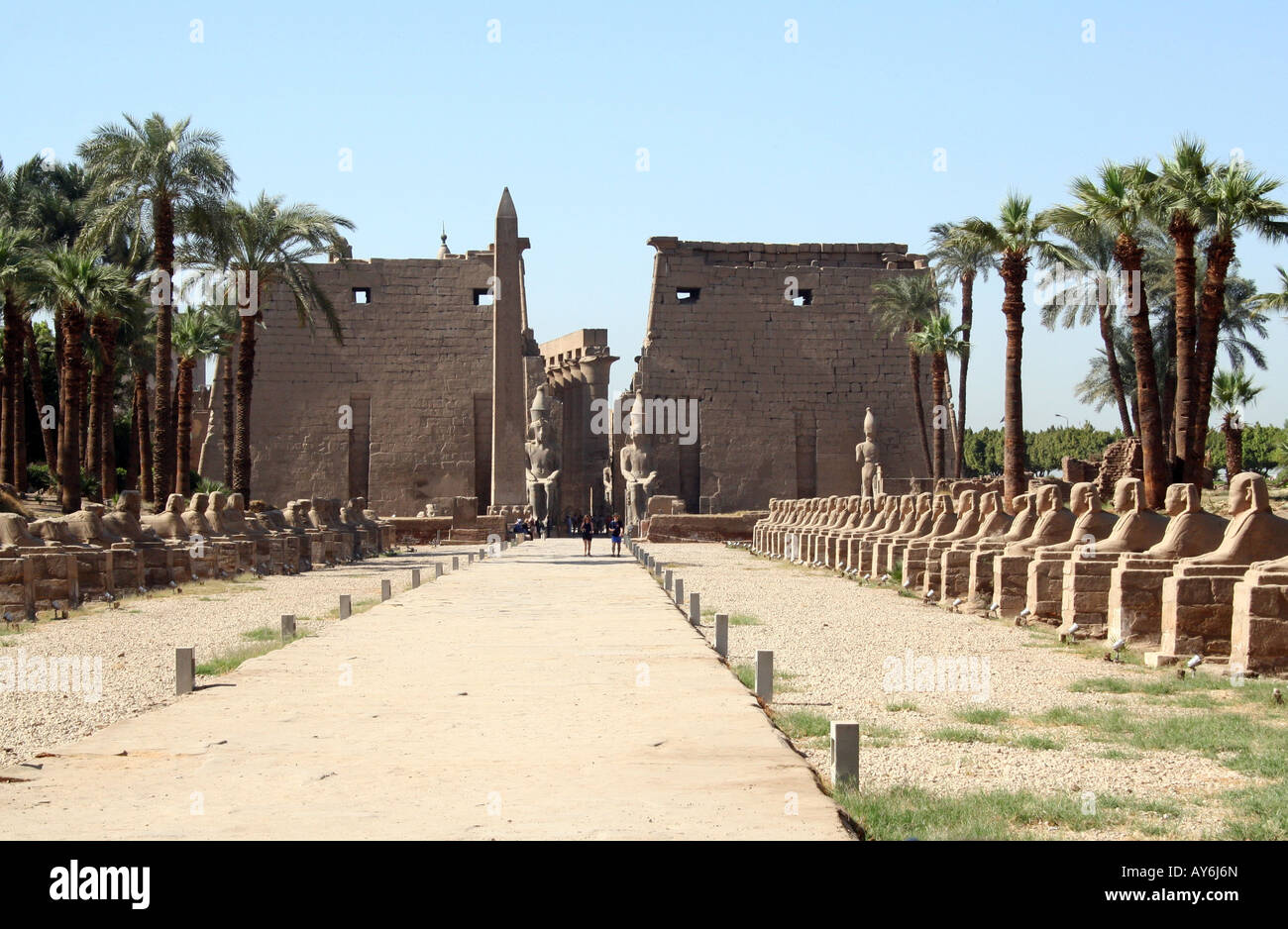 Luxor-Tempel [Luxor, Ägypten, arabische Staaten, Afrika].                                                                              . Stockfoto