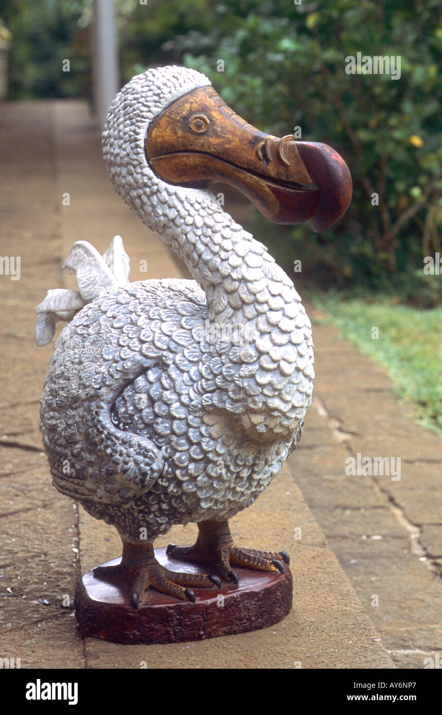 "Dodo" [Dodo Wiederaufbau] "Raphus Cucullatus" Vogel Stockfoto