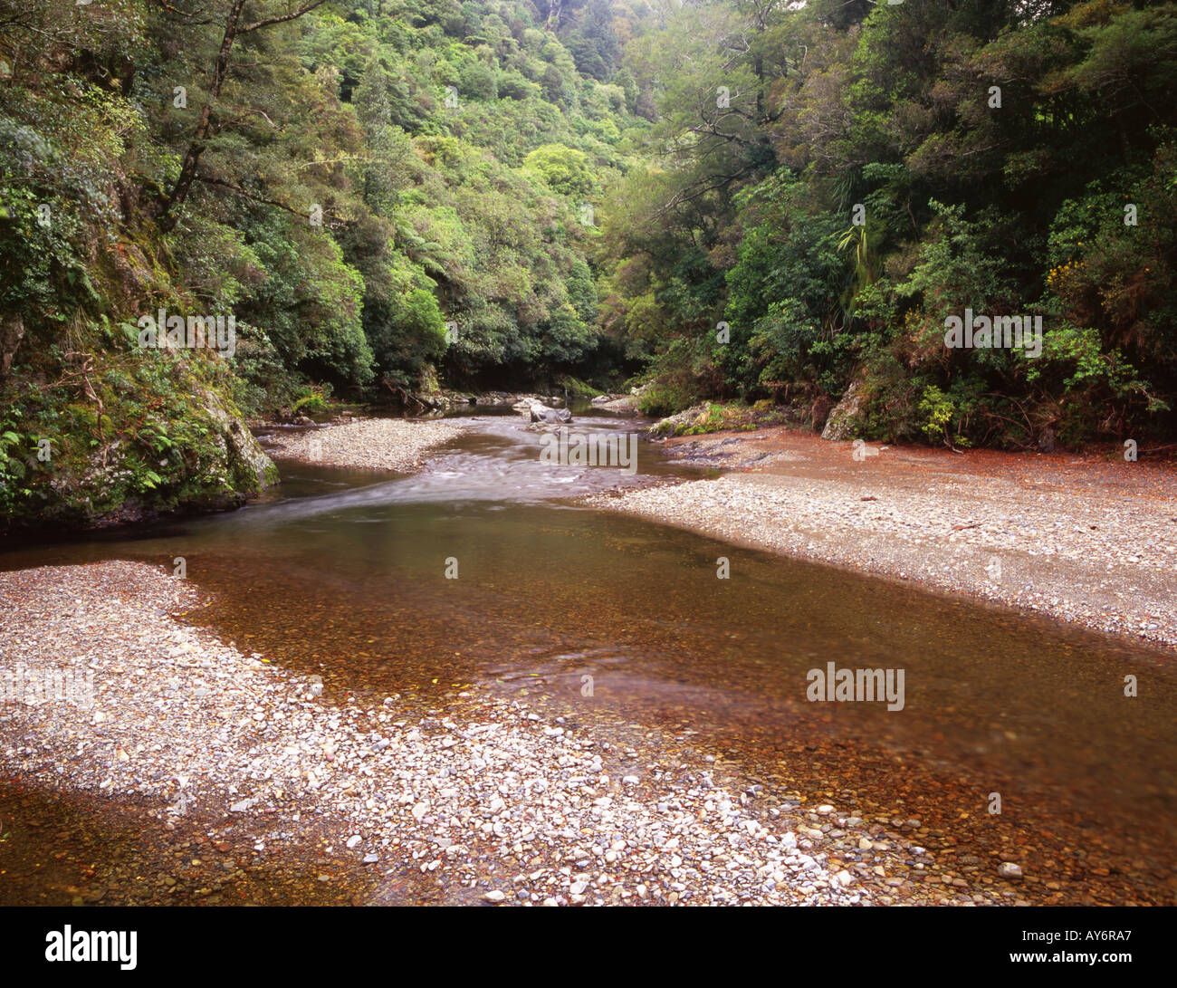 Der Pakuratahi River im Kaitoke Regional Park Nordinsel Neuseeland