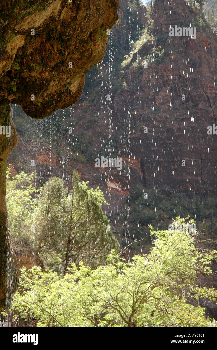 Zion Nationalpark in Utah weeping Rock-Reise-Tourismus Stockfoto
